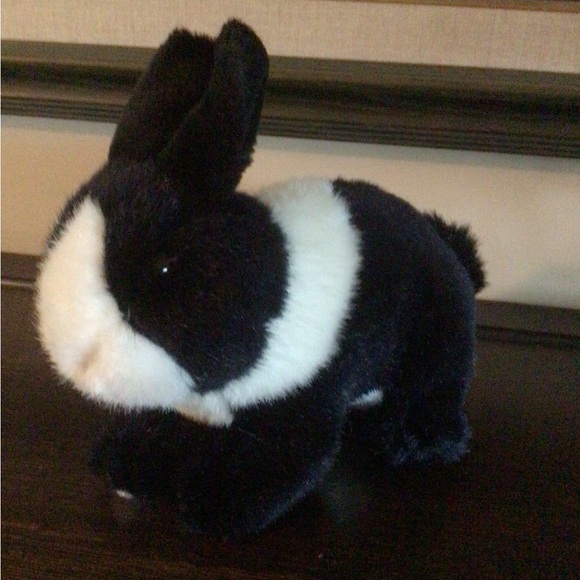 Black & White Rabbit Dutch Rabbit - Picture 1 of 2